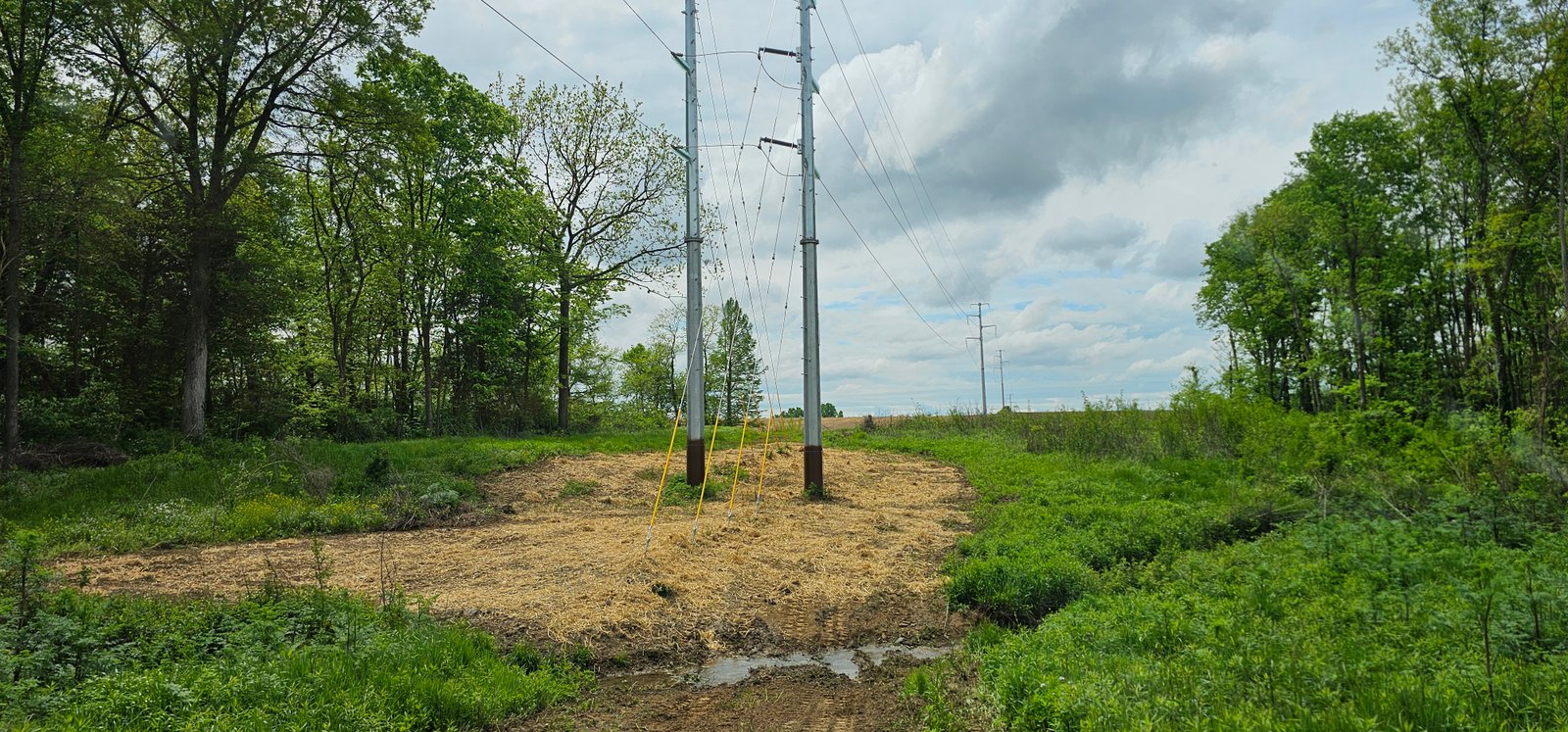 Reclamation project 4